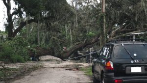 Car parked in front of a large fallen tree after a hurricane, illustrating the impact of extreme winds on vehicles and property.