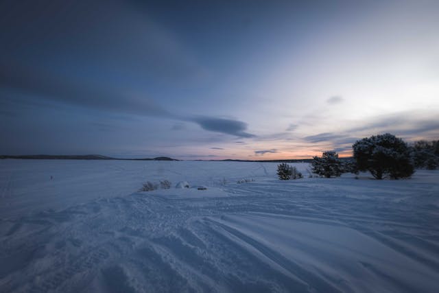 Snow-covered field with trees at sunset, capturing the stillness and risks of extreme cold.